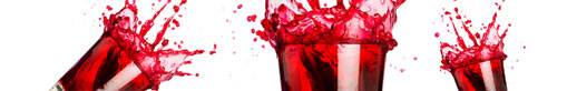 web design company
