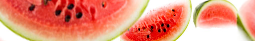 web design company