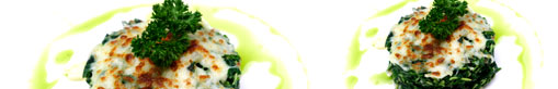 web design company