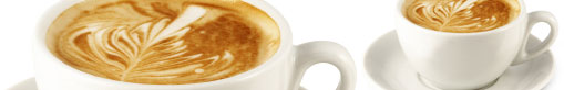 web design company